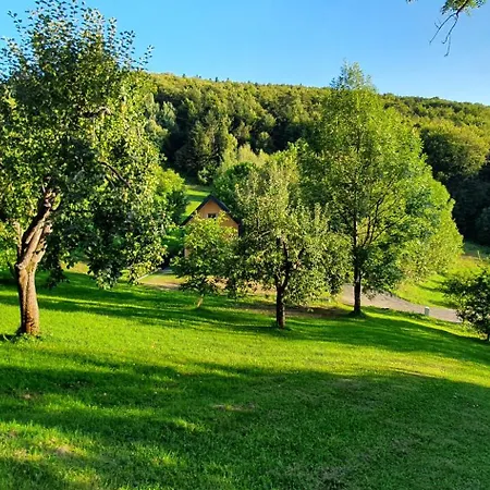 Off Na Oslaku, Jacuzzi & Sauna Jaworzna